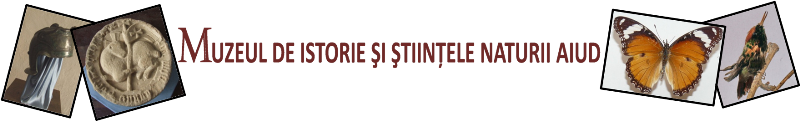Muzeul de Istorie Aiud 